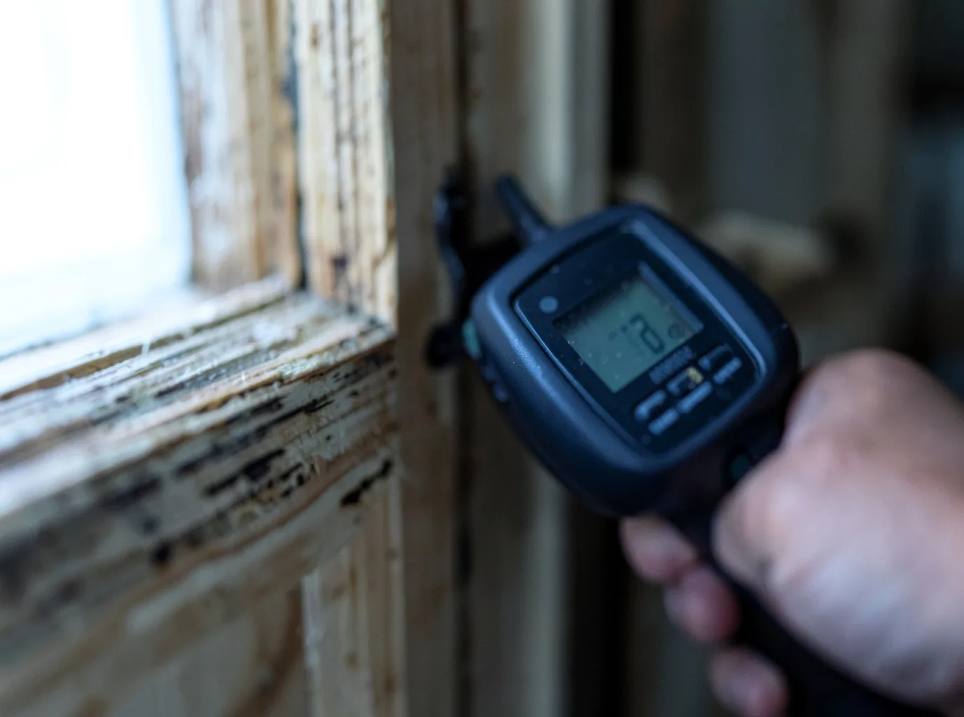 Commercial Water Damage Restoration in Fort Valley, VA